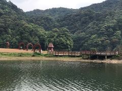 -广州市石门国家森林公园