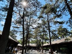 -承德避暑山庄景区