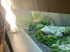 -隐溪茶馆(金虹桥店)
