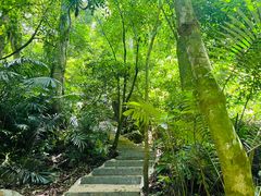 -七仙岭温泉国家森林公园