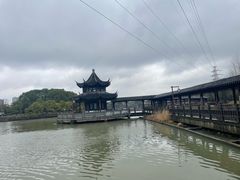 -八大山人梅湖景区