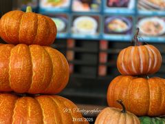 -盆满钵满·国家非遗传承(云台店)