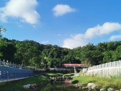 -梧桐山风景名胜区