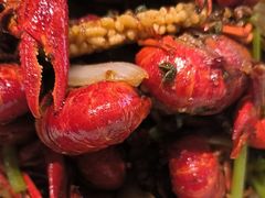 -周姑娘不等味·牛羊肉火锅·螃蟹罗氏虾·烤鱼烤串(高邮店)