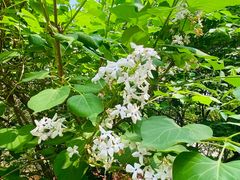 -北京植物园南门售票处