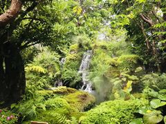 -Chom Cafe and Restaurant