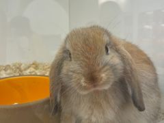 -萨莉亚意式餐厅(杭州西溪龙湖天街店)