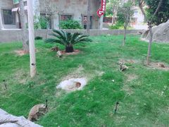 -灵玲国际马戏城