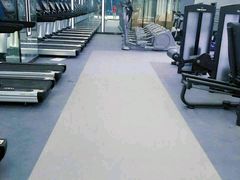 -金吉鸟健身游泳