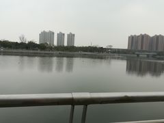 -映月湖中央公园