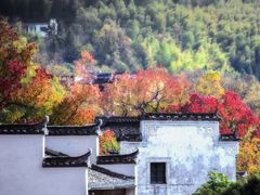 -塔川景区