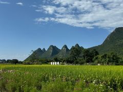 -万峰林风景区