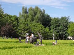-北坞公园