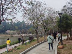 -南国桃园旅游度假区