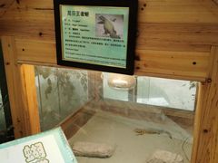 -上海大自然野生昆虫馆(东方明珠·爬宠昆虫探索中心)