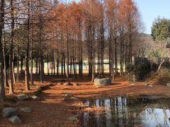 -石湖景区