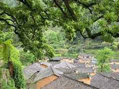 -杨家堂村