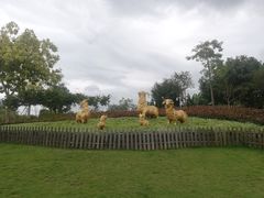 -海珠儿童公园