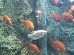 -杭州开元森泊度假乐园