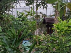 -瑞阁温泉酒店温泉中心