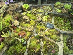 -国家植物园南园