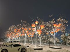 -艳阳天·非遗楚菜(武汉客厅店)