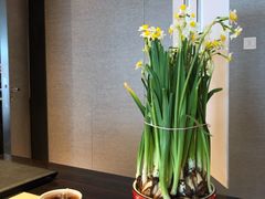 -广州奥园喜来登酒店