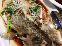 -巨鼎酒店(擂鼓石店)