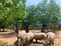 -西安秦岭野生动物园