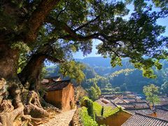 -杨家堂村
