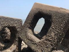 -东疆建设开发纪念公园