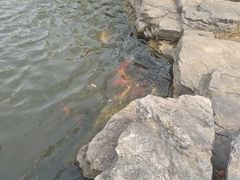 -星光教育超市(传媒大学店)