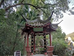 -杭州西湖风景名胜区-三生石