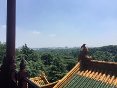 -哈根达斯(绍兴银泰店)