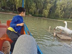 -达活泉公园