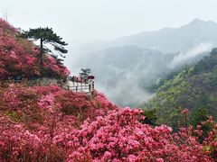 -木兰云雾山