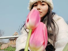 -秀丽东方
