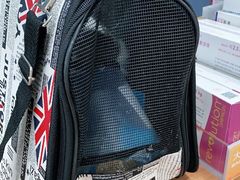 -荔康动物医院(康王北路店)