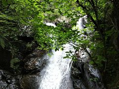 -大余丫山旅游度假区