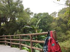 -青芝山风景名胜区