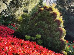 -长白岛森林公园