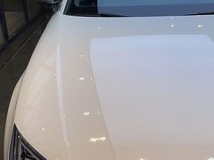 -脉冲品质汽美·贴膜(闵行店)