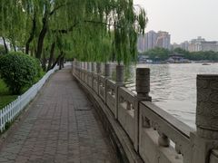 -迎泽公园