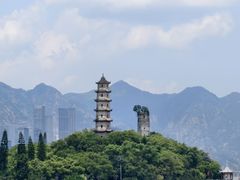 -江心屿景区
