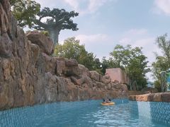 -苏州乐园森林水世界