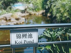 -观澜湖旅游度假区