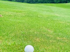 -万柳高尔夫俱乐部