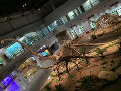 -自贡恐龙博物馆