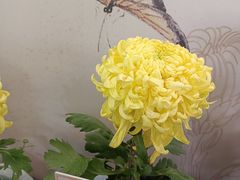 -杭州植物园