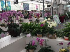 -兰陵国家农业公园